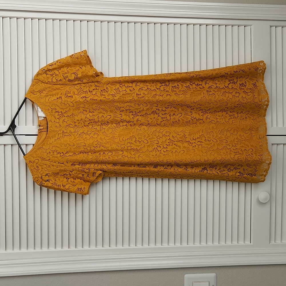 LOFT Goldenrod lace short sleeve dress